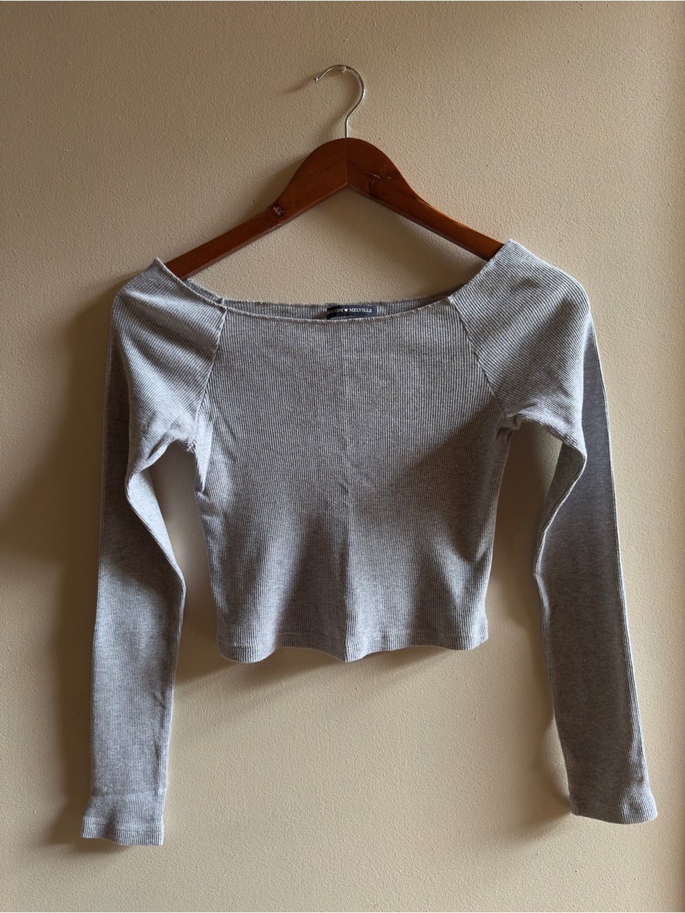 Brandy Melville Gray Ribbed Boat Neckline Long Sleeve Crop Top